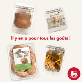 🍄✨ C’est la saison des champignons ! 